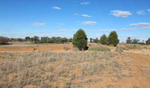 Zanci Pastoral Loop - Accommodation Mermaid Beach 3