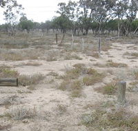 Culgoa Connellys track - Accommodation Mermaid Beach