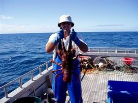 Lacepede Seafood - Accommodation Mermaid Beach 2