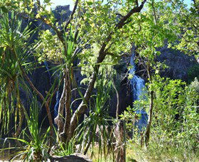 Manngarre Rainforest Walk - Accommodation Mermaid Beach 1
