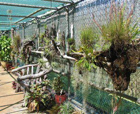 George Brown Darwin Botanic Gardens - Accommodation Mermaid Beach 5