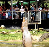 Crocodylus Park - Accommodation Mermaid Beach