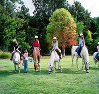 Limestone Coast Horseriding - Accommodation Mermaid Beach