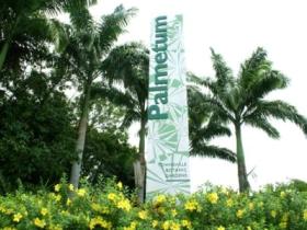 Townsville Palmetum - Accommodation Mermaid Beach 0