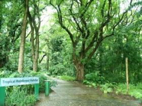 Townsville Palmetum - Accommodation Mermaid Beach 1