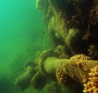 Wreck Diving at Magnetic Island - Accommodation Mermaid Beach