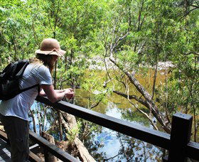 Mount Elliot, Bowling Green Bay National Park - Accommodation Mermaid Beach 1