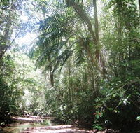 Mount Lewis National Park - Accommodation Mermaid Beach