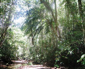 Mount Lewis National Park - Accommodation Mermaid Beach 0
