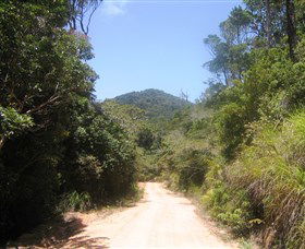 Mount Lewis National Park - Accommodation Mermaid Beach 2