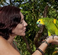Birdworld Kuranda - Accommodation Mermaid Beach