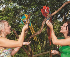 Birdworld Kuranda - Accommodation Mermaid Beach 1