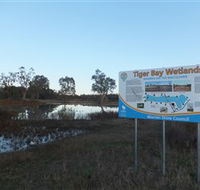 Tiger Bay Wetlands - Accommodation Mermaid Beach
