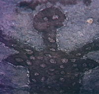 Quinkan Reserves Ancient Rock Art - Accommodation Mermaid Beach