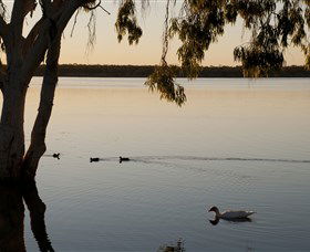 Lake Elphinstone - Accommodation Mermaid Beach 2