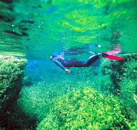 Piccaninnie Ponds Conservation Park - Accommodation Mermaid Beach