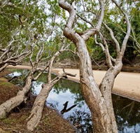 Oyala Thumotang National Park CYPAL - Accommodation Mermaid Beach
