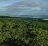 Mount Richmond National Park - Accommodation Mermaid Beach