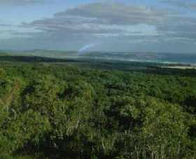 Mount Richmond National Park - Accommodation Mermaid Beach 0