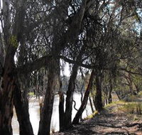Mia Forest Drives Narrandera - Accommodation Mermaid Beach
