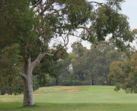 Tocumwal Golf Club - Accommodation Mermaid Beach 2