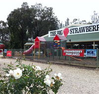 The Big Strawberry - Accommodation Mermaid Beach