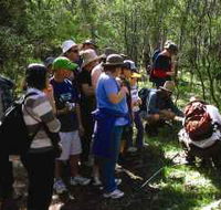 Warrumbungle National Park Discovery Program - Accommodation Mermaid Beach