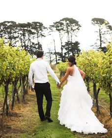 Quoin Hill Vineyard - Accommodation Mermaid Beach 2