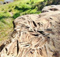 Terramungamine Rock Grooves - Accommodation Mermaid Beach