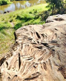 Terramungamine Rock Grooves - Accommodation Mermaid Beach 0