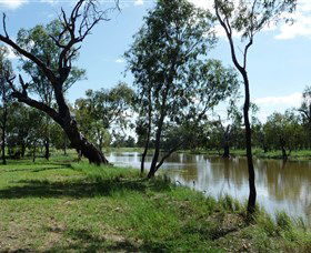 Seplin Estate Wines - Accommodation Mermaid Beach 1