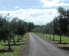 Seplin Estate Wines - Accommodation Mermaid Beach 3