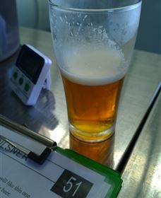 Goanna Brewing - Accommodation Mermaid Beach 1