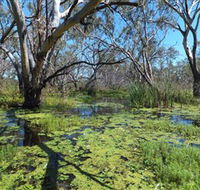 Macquarie Valley Trails - Accommodation Mermaid Beach