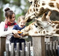 Taronga Western Plains Zoo Dubbo - Accommodation Mermaid Beach