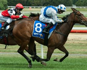 Ballarat Turf Club - Accommodation Mermaid Beach 3