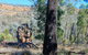 Eualdrie Walking Track - thumb 0