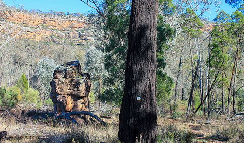 Eualdrie Walking Track - Accommodation Mermaid Beach 0