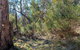 Eualdrie Walking Track - thumb 1