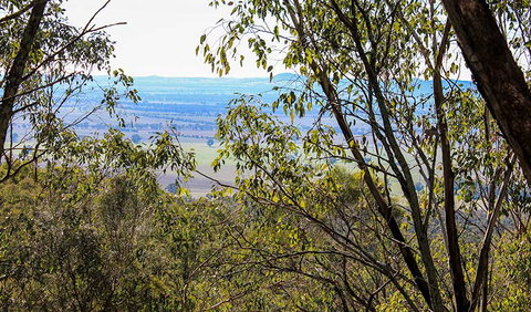 Eualdrie Walking Track - Accommodation Mermaid Beach 2