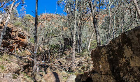 Eualdrie Walking Track - Accommodation Mermaid Beach 3