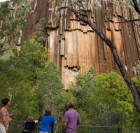 Sawn Rocks walking track - Accommodation Mermaid Beach