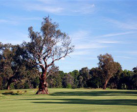 Corowa Golf Club - Accommodation Mermaid Beach 5