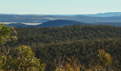 Conimbla National Park - Accommodation Mermaid Beach 1