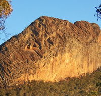 Kaputar scenic drive - Accommodation Mermaid Beach