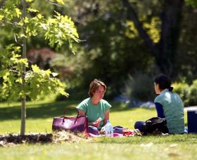 Botanic Gardens Wagga Wagga - Accommodation Mermaid Beach 0