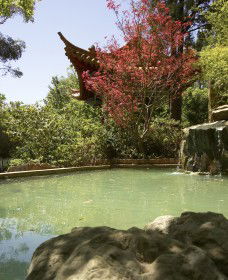 Botanic Gardens Wagga Wagga - Accommodation Mermaid Beach 2