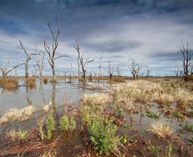 Winton Wetlands Reserve - Accommodation Mermaid Beach 4
