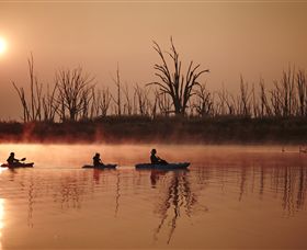 Winton Wetlands Reserve - Accommodation Mermaid Beach 7