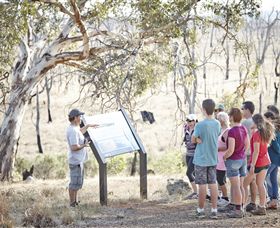 Winton Wetlands Reserve - Accommodation Mermaid Beach 5